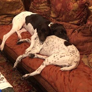 Meet your Posher, Lanetta